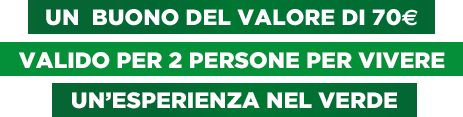 Un mondo più verde grazie a te 2019